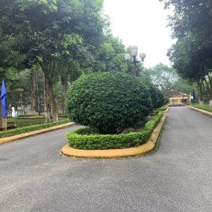 z4274688795417_5ade687487090cc0dd22401d605b65fe