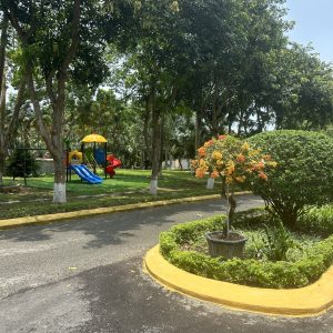 z4426391438297_69f97d9de65a5e40069d769464e85cb2