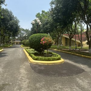 z4426391903970_ed4acd8dd09744d61cd4028cd003a309